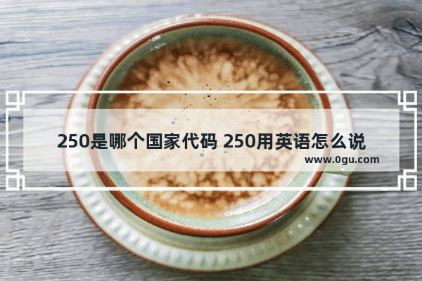 250是哪个国家代码 250用英语怎么说