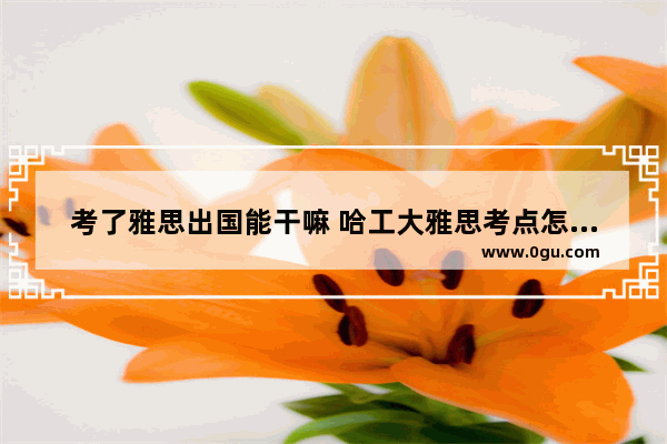 考了雅思出国能干嘛 哈工大雅思考点怎么样