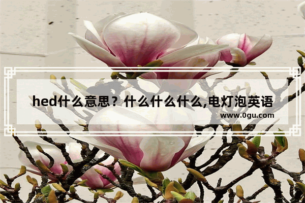 hed什么意思？什么什么什么,电灯泡英语怎么说