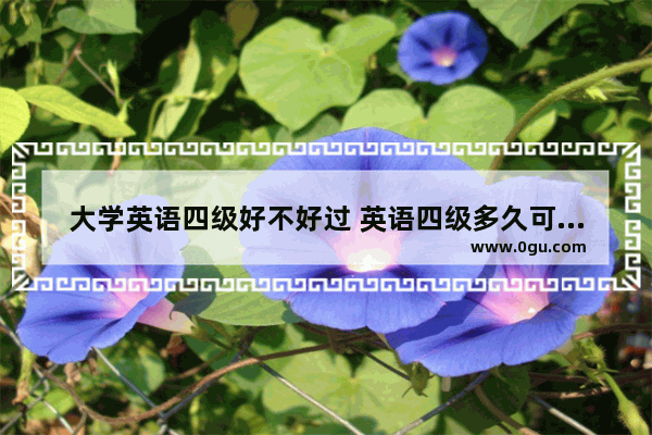 大学英语四级好不好过 英语四级多久可以搞定啊