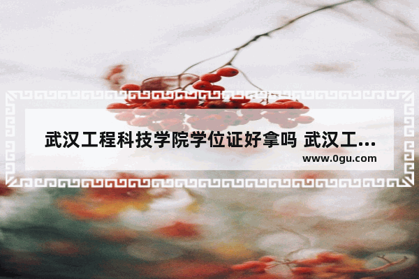 武汉工程科技学院学位证好拿吗 武汉工程管理学位英语考试