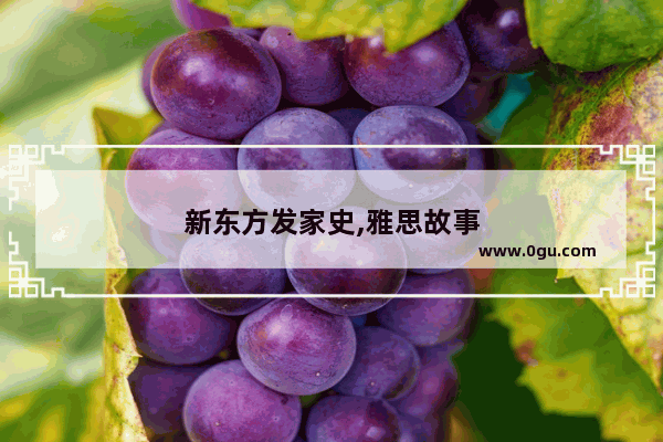 新东方发家史,雅思故事
