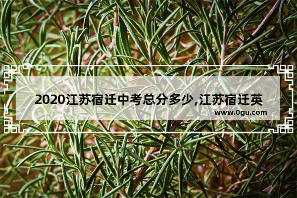 2020江苏宿迁中考总分多少,江苏宿迁英语口语应用