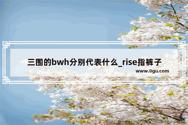 三围的bwh分别代表什么_rise指裤子腰高吗