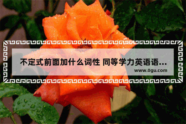 不定式前面加什么词性 同等学力英语语法之不定式