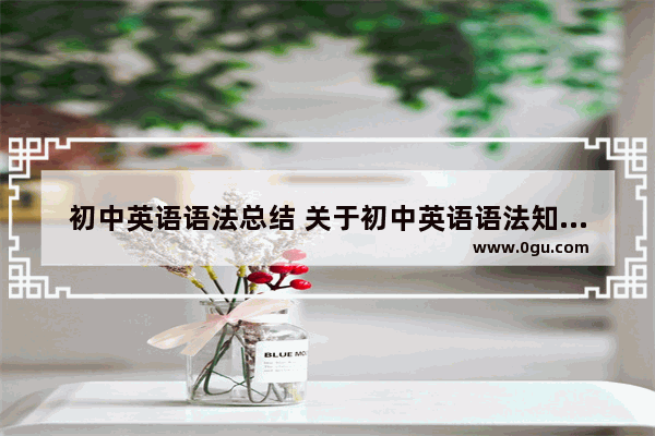初中英语语法总结 关于初中英语语法知识点