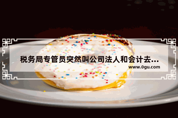 税务局专管员突然叫公司法人和会计去税务局 一般会问些什么啊 会计英语口语考试对话