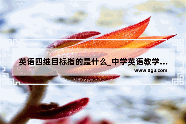 英语四维目标指的是什么_中学英语教学的四维目标