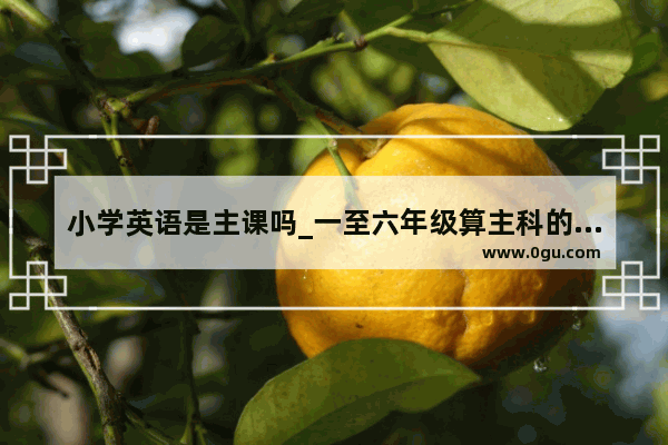 小学英语是主课吗_一至六年级算主科的有哪几科