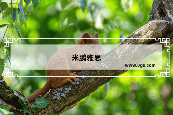 米鹏雅思