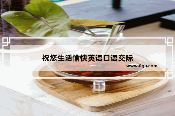祝您生活愉快英语口语交际