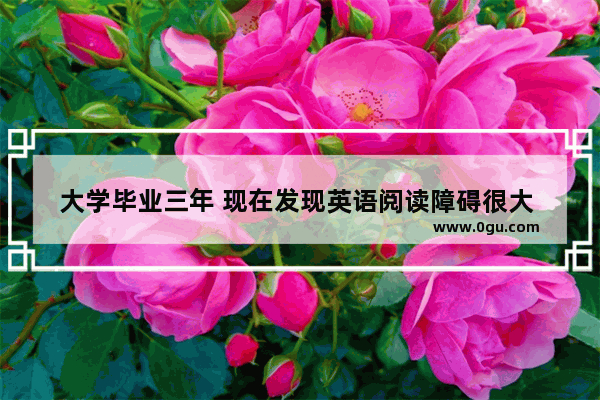 大学毕业三年 现在发现英语阅读障碍很大 如何重新系统的整理语法知识