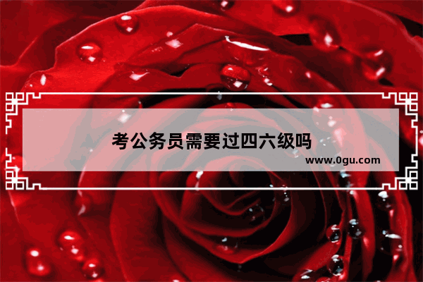 考公务员需要过四六级吗
