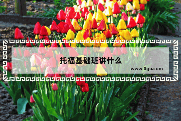 托福基础班讲什么