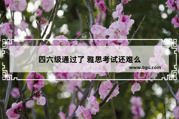 四六级通过了 雅思考试还难么