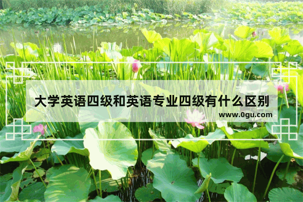 大学英语四级和英语专业四级有什么区别