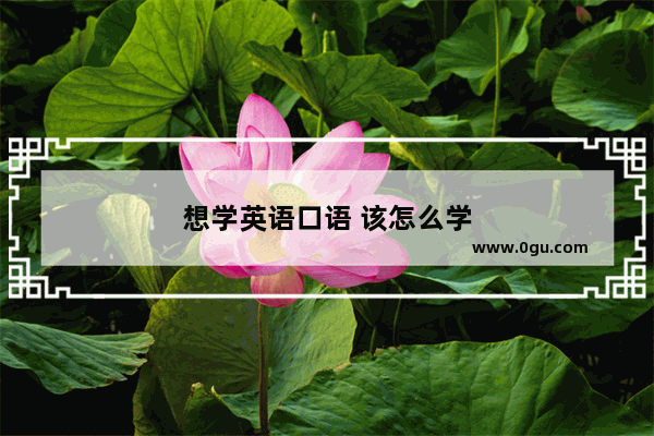 想学英语口语 该怎么学