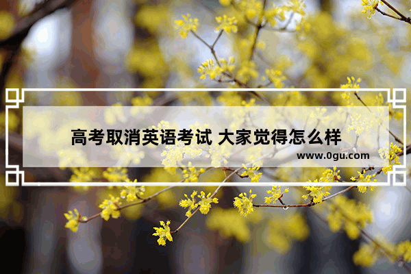 高考取消英语考试 大家觉得怎么样
