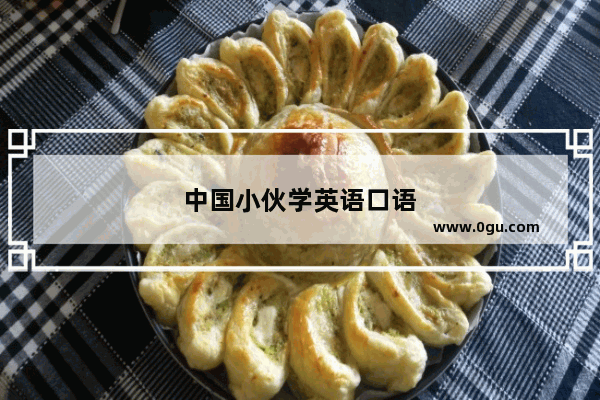 中国小伙学英语口语