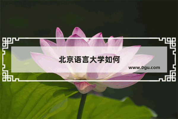 北京语言大学如何