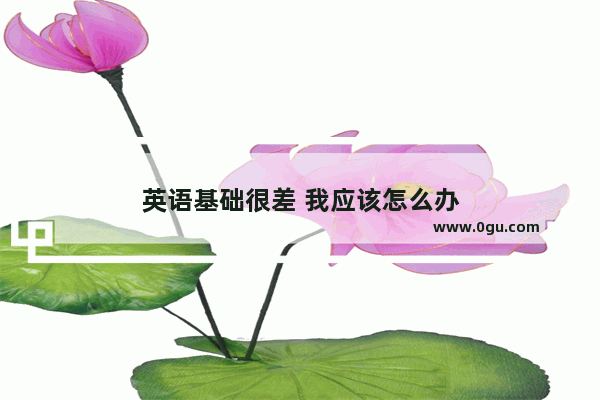英语基础很差 我应该怎么办