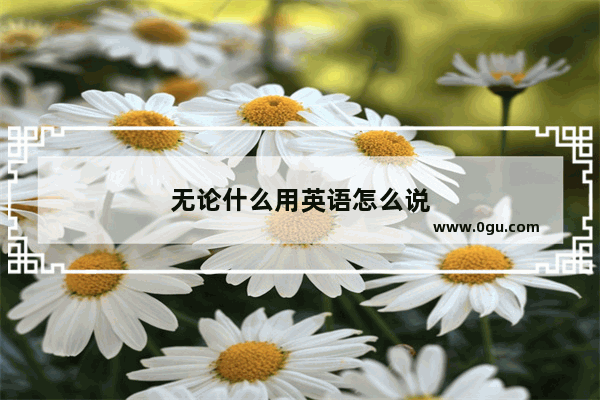 无论什么用英语怎么说