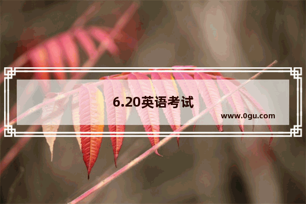 6.20英语考试