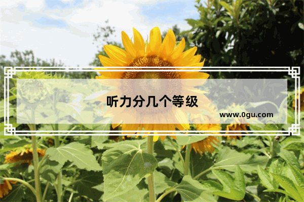 听力分几个等级