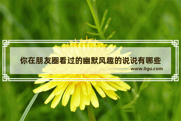 你在朋友圈看过的幽默风趣的说说有哪些
