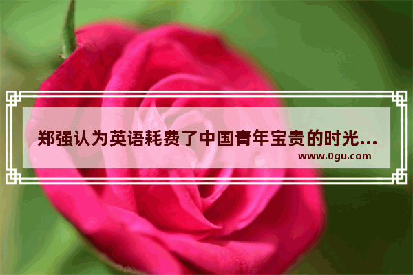 郑强认为英语耗费了中国青年宝贵的时光！你认为呢