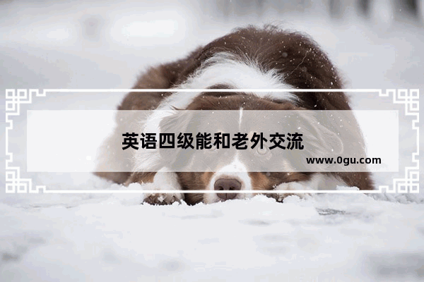 英语四级能和老外交流