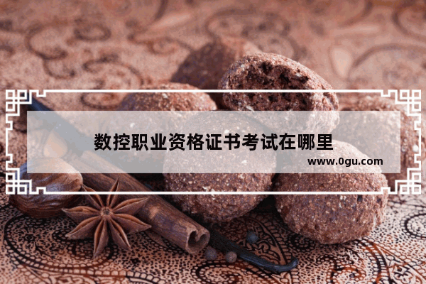 数控职业资格证书考试在哪里