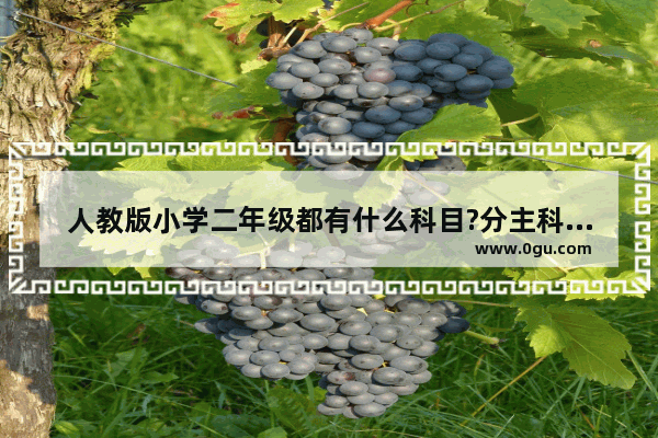 人教版小学二年级都有什么科目?分主科和复科么