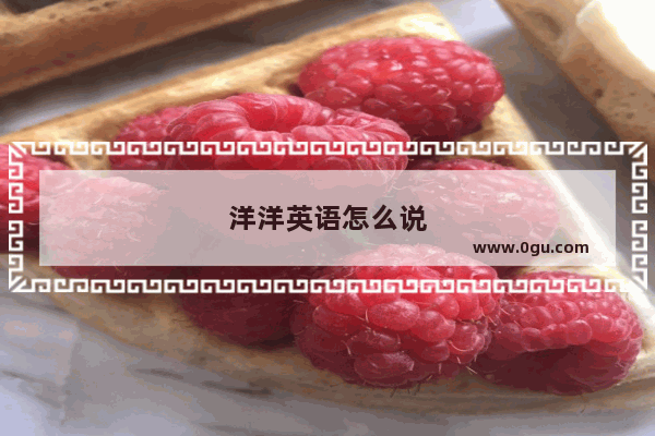 洋洋英语怎么说