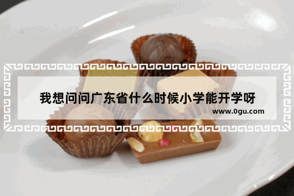 我想问问广东省什么时候小学能开学呀