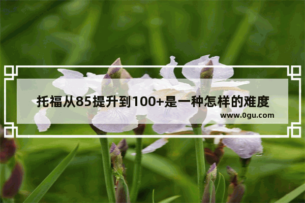 托福从85提升到100+是一种怎样的难度