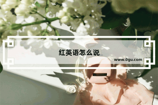 红英语怎么说