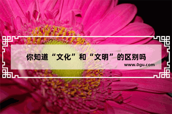 你知道“文化”和“文明”的区别吗