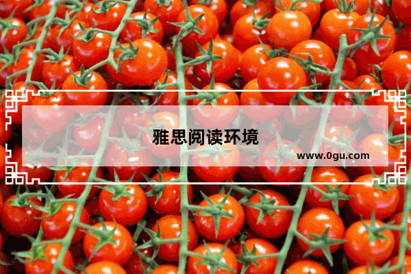 雅思阅读环境