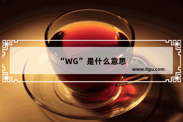 “WG”是什么意思