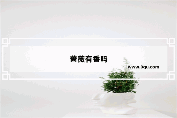 蔷薇有香吗