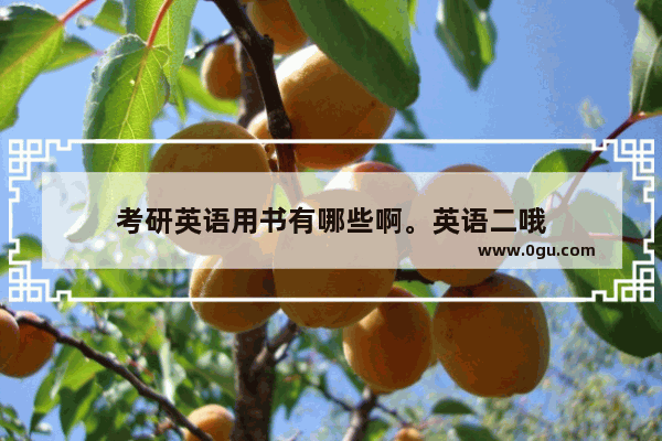 考研英语用书有哪些啊。英语二哦