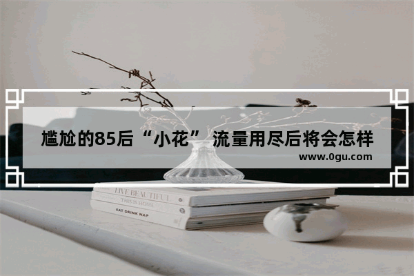 尴尬的85后“小花” 流量用尽后将会怎样