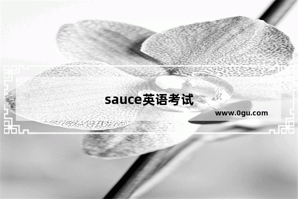 sauce英语考试