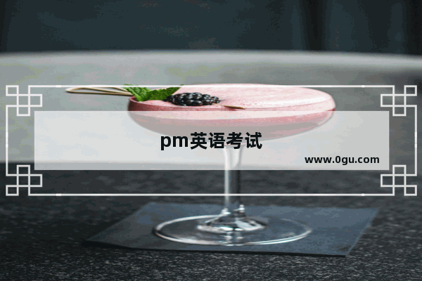 pm英语考试