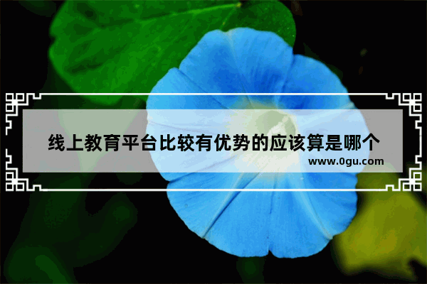 线上教育平台比较有优势的应该算是哪个