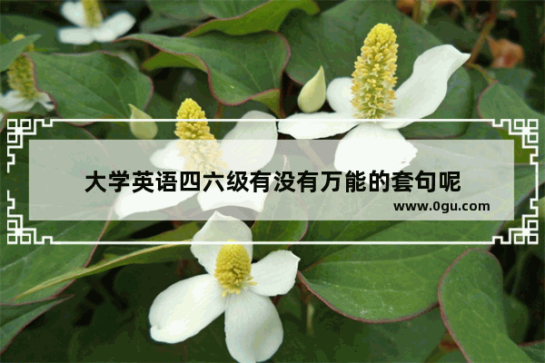 大学英语四六级有没有万能的套句呢