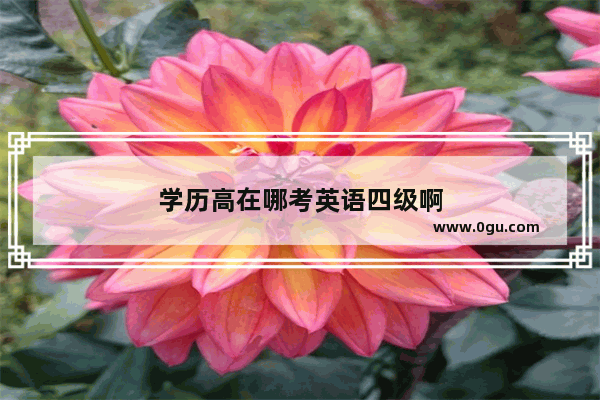 学历高在哪考英语四级啊
