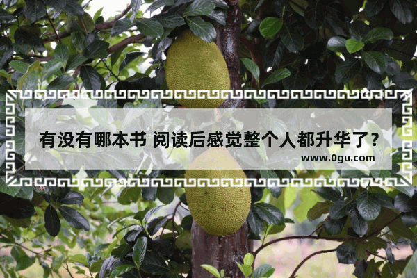 有没有哪本书 阅读后感觉整个人都升华了？求分享