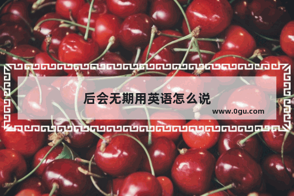 后会无期用英语怎么说